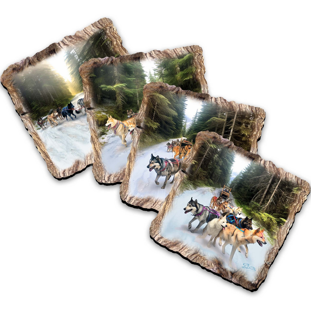 A collage of four images depicting a pack of sled dogs running through a snowy forest landscape.