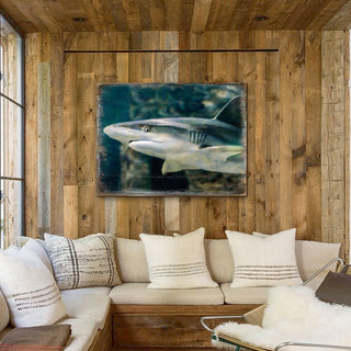 Zindanlari Shark Wooden Coastal Wall Art by Nature Wonders - Coastal Sea-Life Decor - 95324B