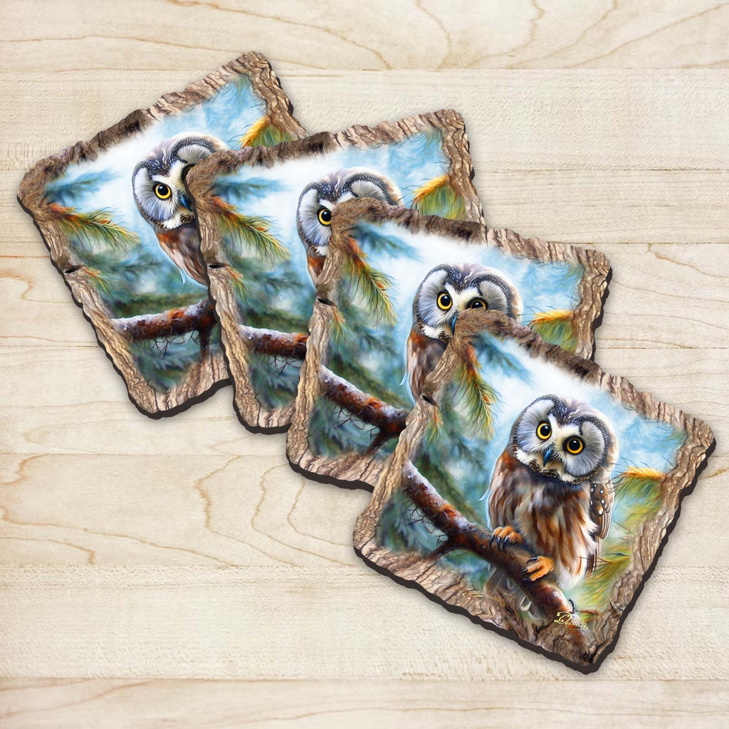 Owl Wooden Cork Coasters Gift Set of 4 by Nature Wonders Nature Wildlife Decor - 95389C-S4