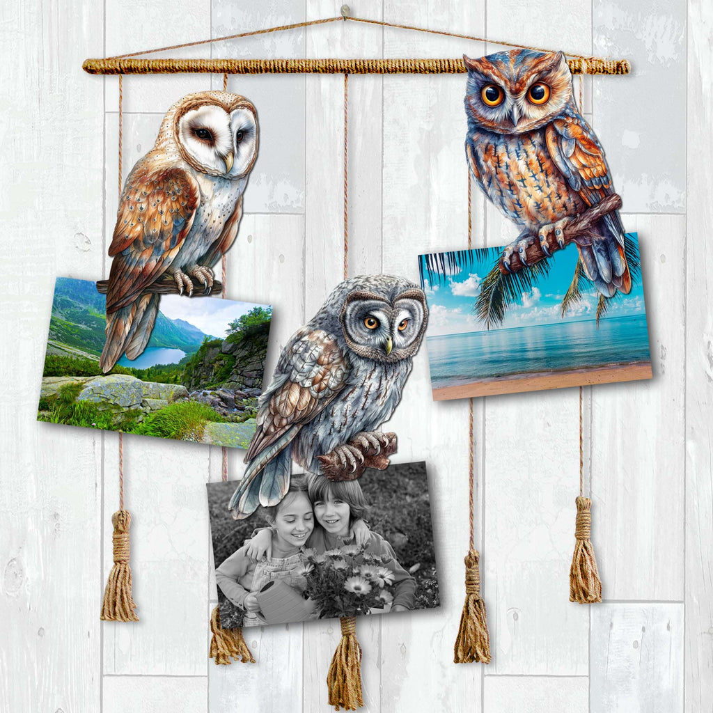 Night Owls Clip-On Eco Wood Decorative Ornaments Set of 3 by G. Debrekht - Wildlife Decor - 8091004C-S3