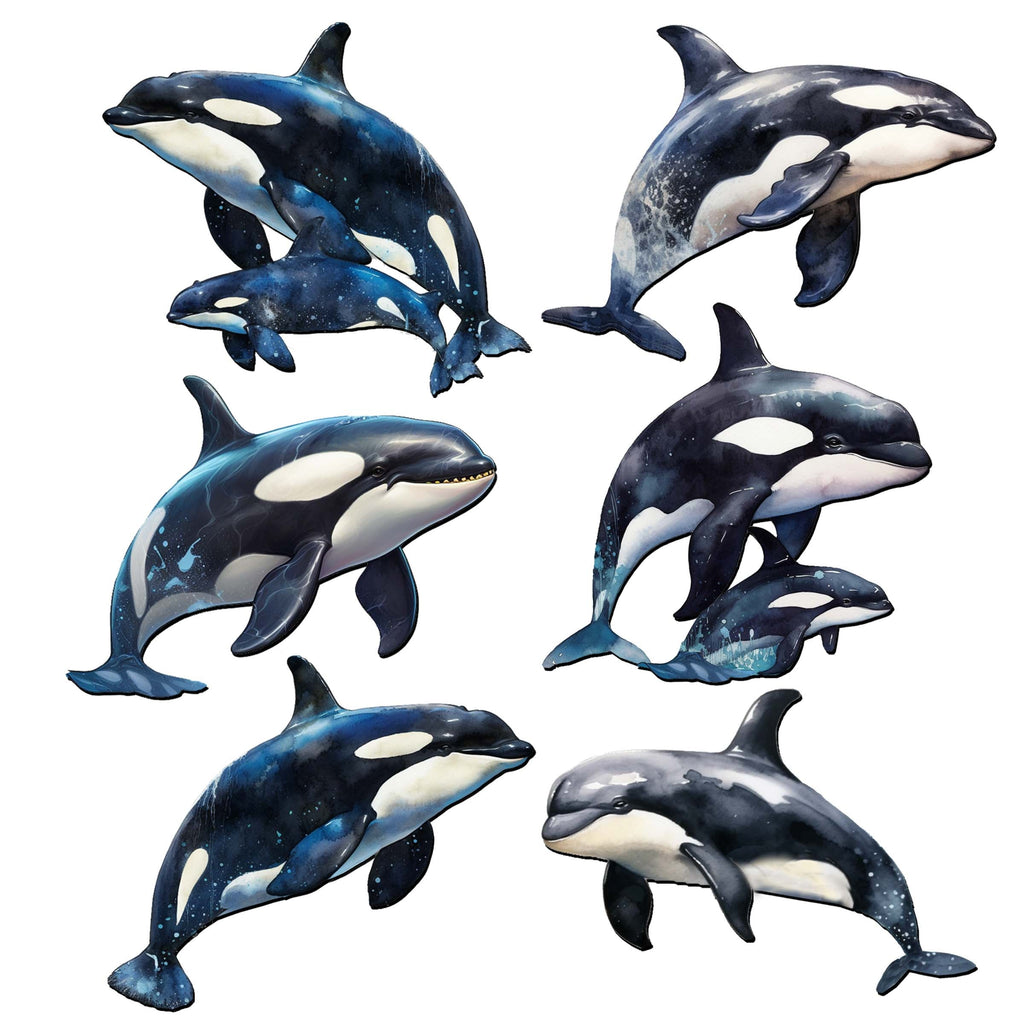 Majestic Orcas Decorative Eco Wood Magnets Set of 6 by G. Debrekht - Wildlife Coastal Decor - 8090102G-S6