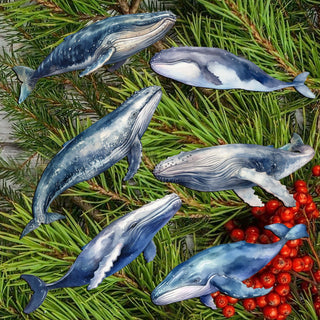 Coastal Giants Humpback Whales Clip-On Eco Wood Decorative Ornaments Set of 6 by G. Debrekht - Wildlife Decor - 8090103C-S6