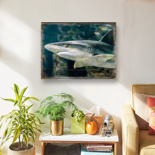 Zindanlari Shark Wooden Coastal Wall Art by Nature Wonders - Coastal Sea-Life Decor - 95324B