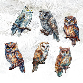 Night Owls Clip-On Eco Wood Decorative Ornaments Set of 6 by G. Debrekht - Christmas Decor - 8090004C-S6