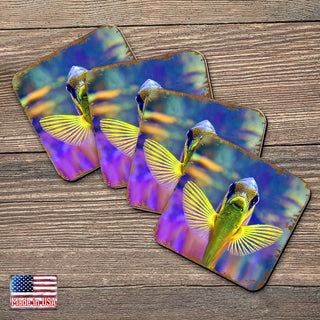 Tropical Fish Coastal Wooden Cork Coasters Gift Set of 4 by Nature Wonders - Coastal Sea-Life Decor - 95263C-S4