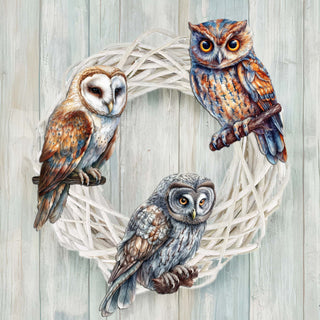 Night Owls Clip-On Eco Wood Decorative Ornaments Set of 3 by G. Debrekht - Wildlife Decor - 8091004C-S3