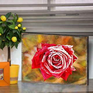 Amil Rose Art Wooden Wall Art by Nature Wonders - Love Family Kids Decor - 95299B