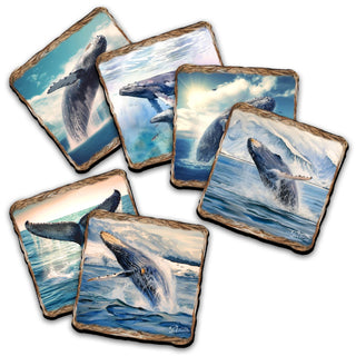 Humpback Whale Wooden Cork Placemat and Coasters Gift Set of 7 by Nature Wonders Coastal Nature Wildlife Decor - 85403C-S7