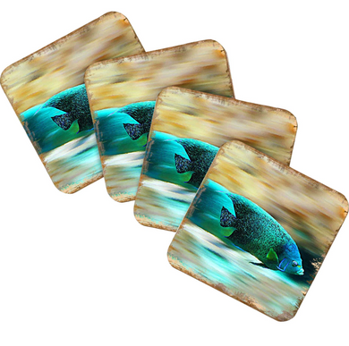 a collage of four square images, each depicting a fish in a different color. The fish appears to be a blue and green color, and it is swimming in a body of water.