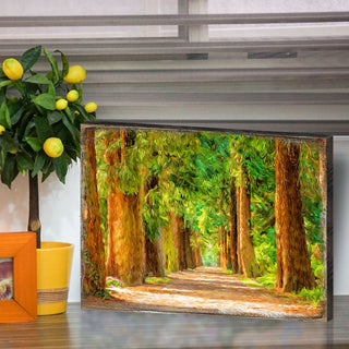 Laverriere Forest Art Wooden Wall Art by Nature Wonders - Nature Wildlife Decor - 95244B