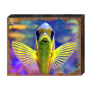 Tropical Fish Wooden Coastal Wall Art by Nature Wonders - Coastal Sea-Life Decor - 95263B