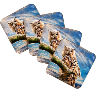 A set of four square coasters featuring images of owls perched on branches against a blue sky background.