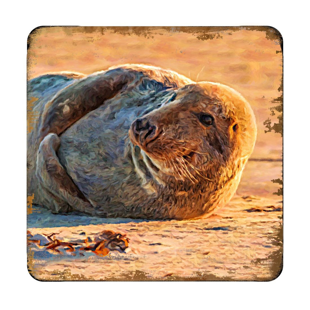 Seal Coastal Wooden Cork Coasters Gift Set of 4 by Nature Wonders - Coastal Sea-Life Decor - 95260C-S4