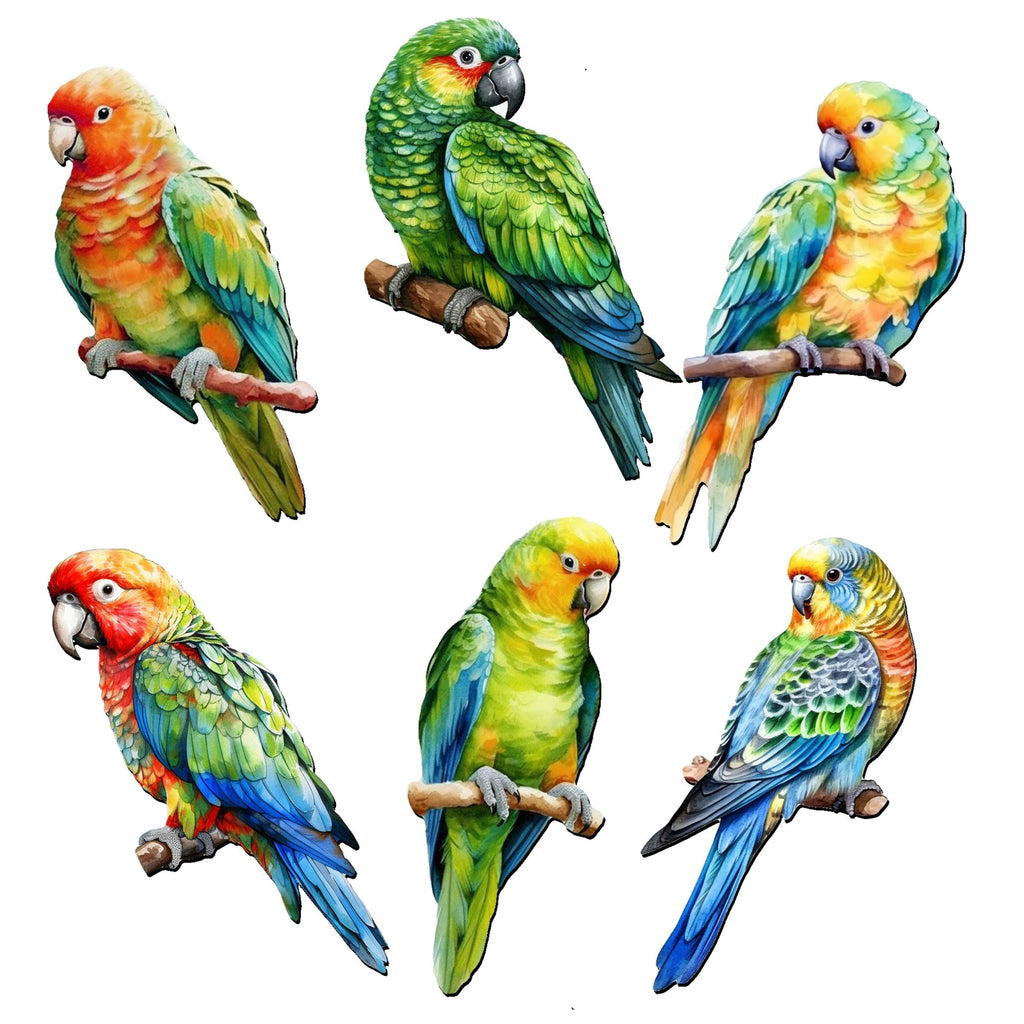 Parrots Decorative Eco Wood Magnets Set of 6 by G. Debrekht - Wildlife Decor - 8090013G-S6