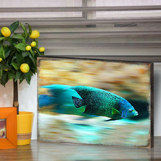 Tropical Fish Wood Wooden Coastal Wall Art by Nature Wonders - Coastal Sea-Life Decor - 95264B