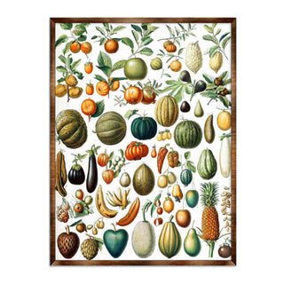 Fruit Montessori Wooden Poster - Kids Educational Poster - Homeschool I Classroom Decor - Aesthetic - 310224