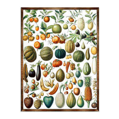 Fruit Montessori Wooden Poster - Kids Educational Poster - Homeschool I Classroom Decor - Aesthetic - 310224