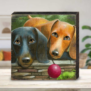 Where's the Ball Wooden Wall Art by Laura Seeley - Pets Dog and Cats Decor - 8511116B