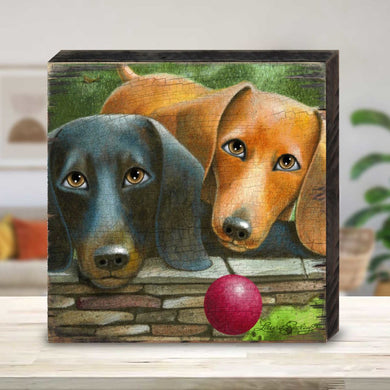 Where's the Ball Wooden Wall Art by Laura Seeley - Pets Dog and Cats Decor - 8511116B