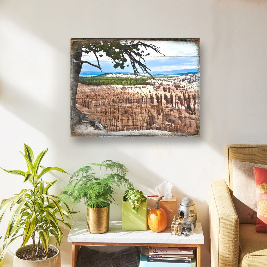 Canyon Tree View Art Wooden Wall Art by Nature Wonders - Nature Wildlife Decor - 95281B
