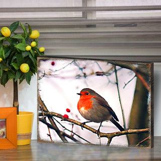 Amena Bird Wooden Coastal Wall Art by Nature Wonders - Coastal Sea-Life Decor - 95286B