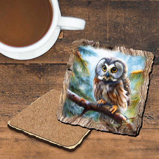 Owl Wooden Cork Coasters Gift Set of 4 by Nature Wonders Nature Wildlife Decor - 95389C-S4