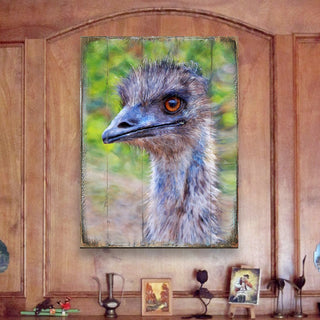 Appel Imu Art Wooden Wall Art by Nature Wonders - Nature Wildlife Decor - 95243B