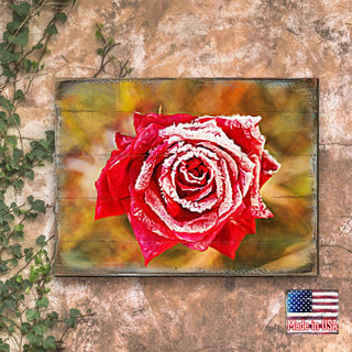 Amil Rose Art Wooden Wall Art by Nature Wonders - Love Family Kids Decor - 95299B
