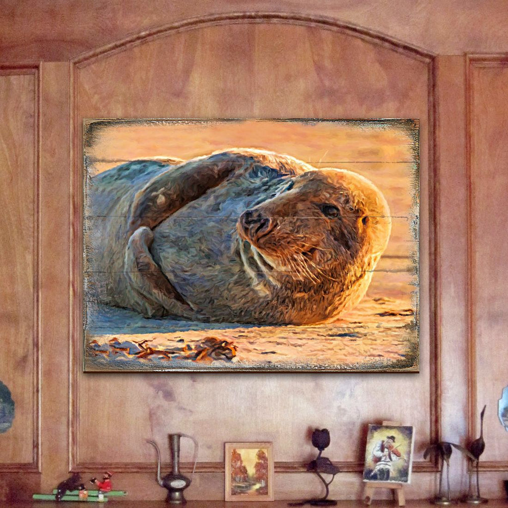 Speier Seal Wood Wooden Coastal Wall Art by Nature Wonders - Coastal Sea-Life Decor - 95260B