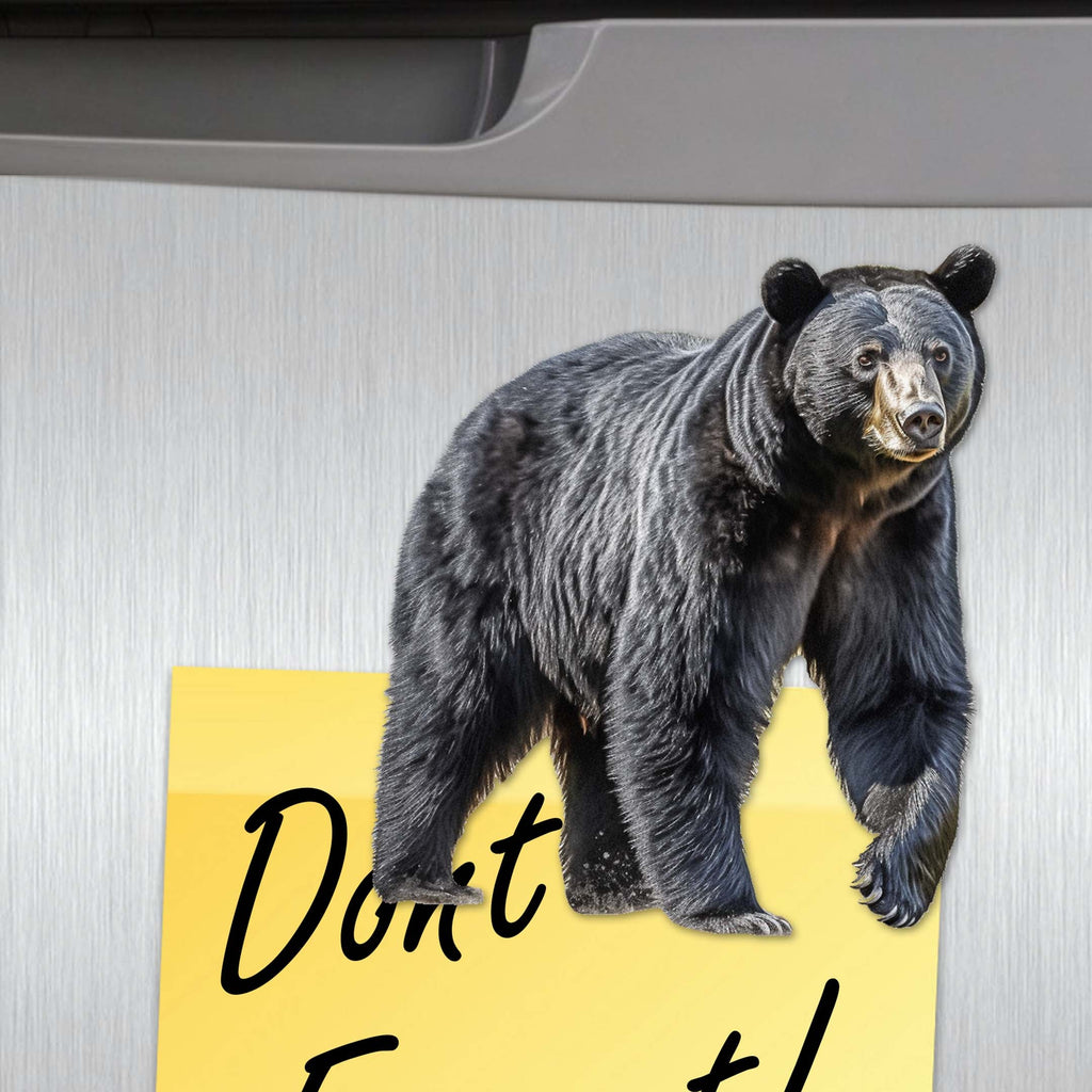 Bear Adventures Decorative Eco Wood Magnets Set of 6 by G. Debrekht - Wildlife Decor - 8090105G-S6