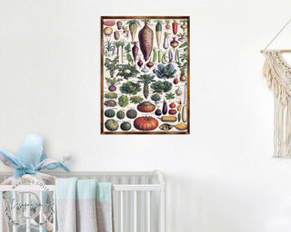 Root Vegetables Wall Decor - Kids room - ABC 123 Kids - Homeschool I Educational Poster - Art for kids - Vegetables - Classroom Decor 310226