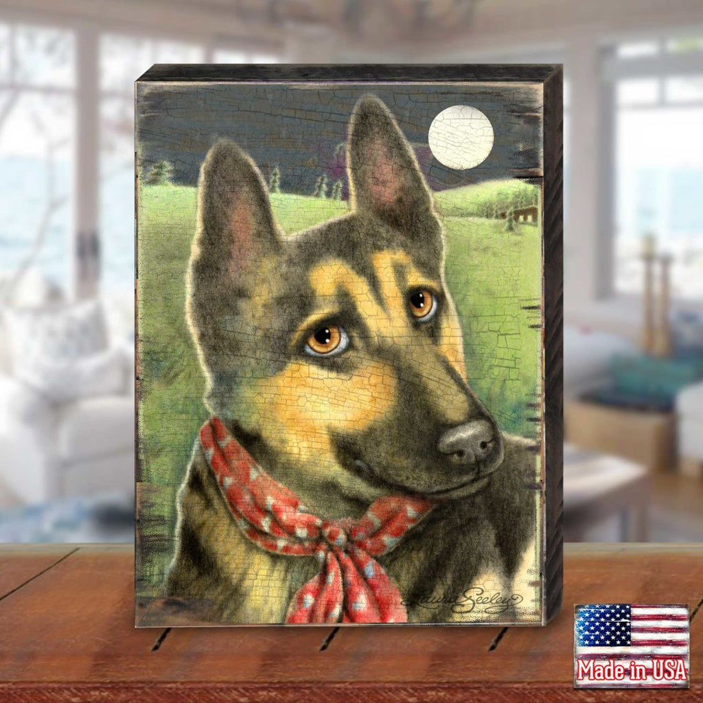 Spring Training Wooden Wall Art by Laura Seeley - Pets Dog and Cats Decor - 8511115B