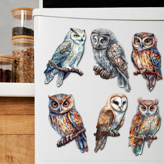 Night Owls Decorative Eco Wood Magnets Set of 6 by G. Debrekht - Wildlife Decor - 8090004G-S6