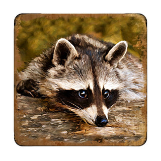 Raccoon Wooden Cork Coasters Gift Set of 4 by Nature Wonders - Nature Wildlife Decor - 95289C-S4