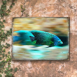 Tropical Fish Wood Wooden Coastal Wall Art by Nature Wonders - Coastal Sea-Life Decor - 95264B