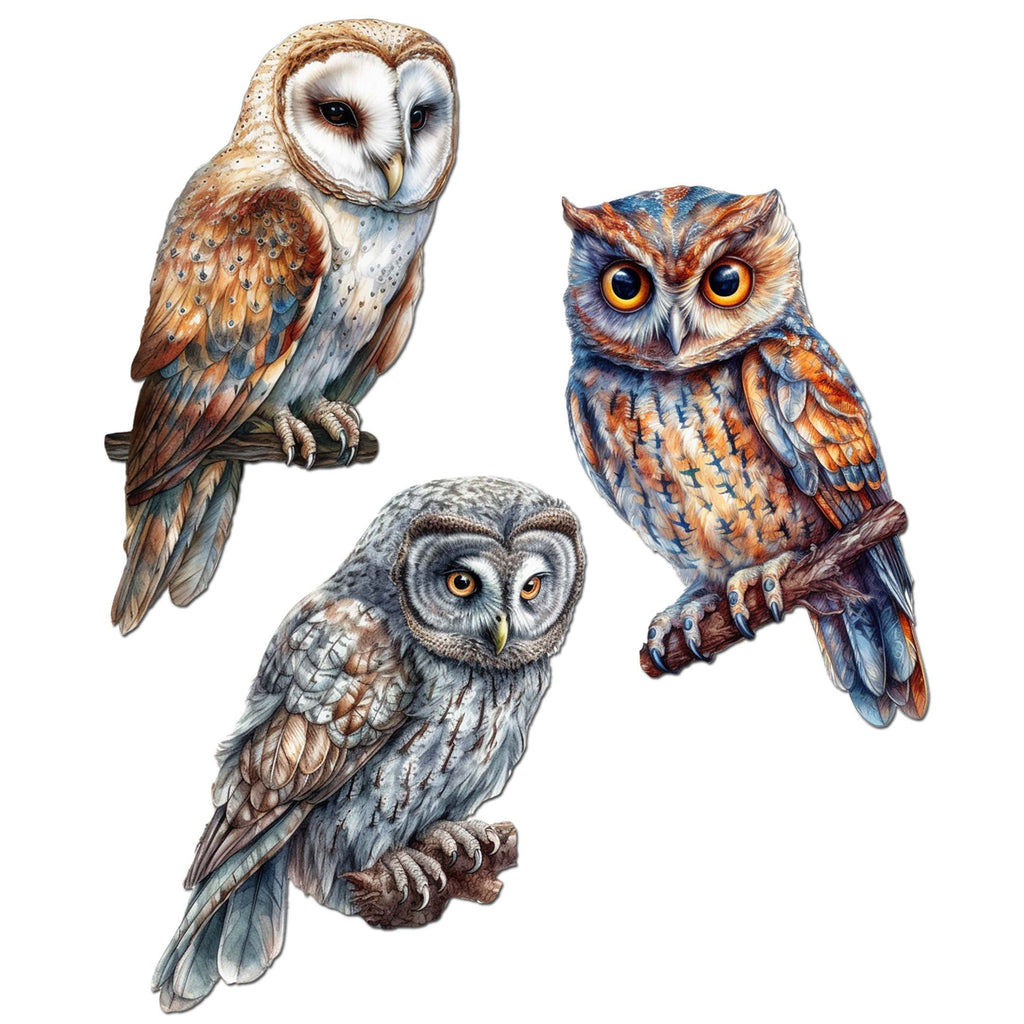 Night Owls Clip-On Eco Wood Decorative Ornaments Set of 3 by G. Debrekht - Wildlife Decor - 8091004C-S3
