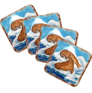 a collection of square coasters featuring illustrations of walruses in various poses and settings.