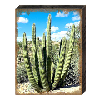 Kennerdell Cactus Art Wooden Wall Art by Nature Wonders - Nature Wildlife Decor - 95277B