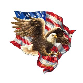 American Liberty Eagle Holiday Door Decor by D. Gelsinger - American Christmas Decor - 8461052H-1432