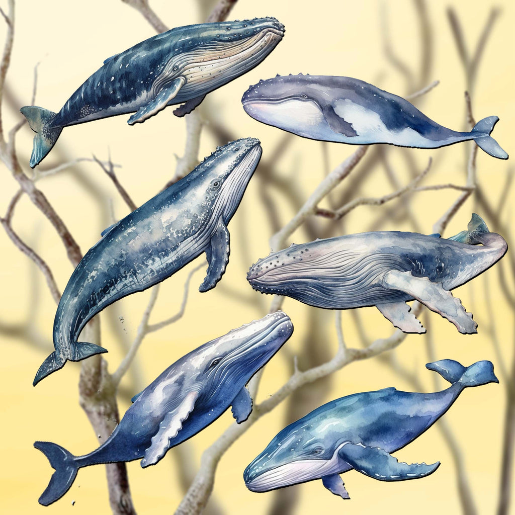 Coastal Giants Humpback Whales Clip-On Eco Wood Decorative Ornaments Set of 6 by G. Debrekht - Wildlife Decor - 8090103C-S6