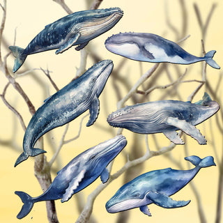 Coastal Giants Humpback Whales Clip-On Eco Wood Decorative Ornaments Set of 6 by G. Debrekht - Wildlife Decor - 8090103C-S6