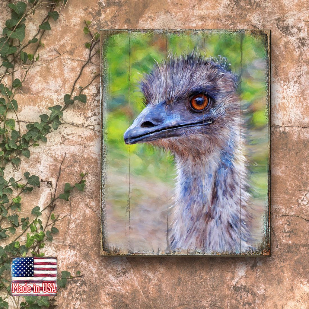 Appel Imu Art Wooden Wall Art by Nature Wonders - Nature Wildlife Decor - 95243B