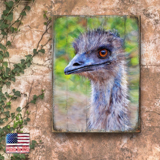 Appel Imu Art Wooden Wall Art by Nature Wonders - Nature Wildlife Decor - 95243B