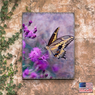 Machaon Art Wooden Wall Art by Nature Wonders - Nature Wildlife Decor - 95391B