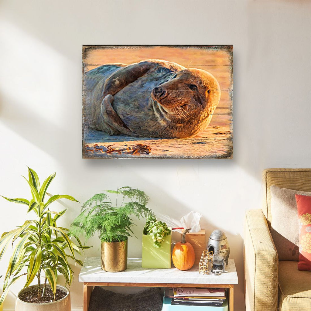 Speier Seal Wood Wooden Coastal Wall Art by Nature Wonders - Coastal Sea-Life Decor - 95260B