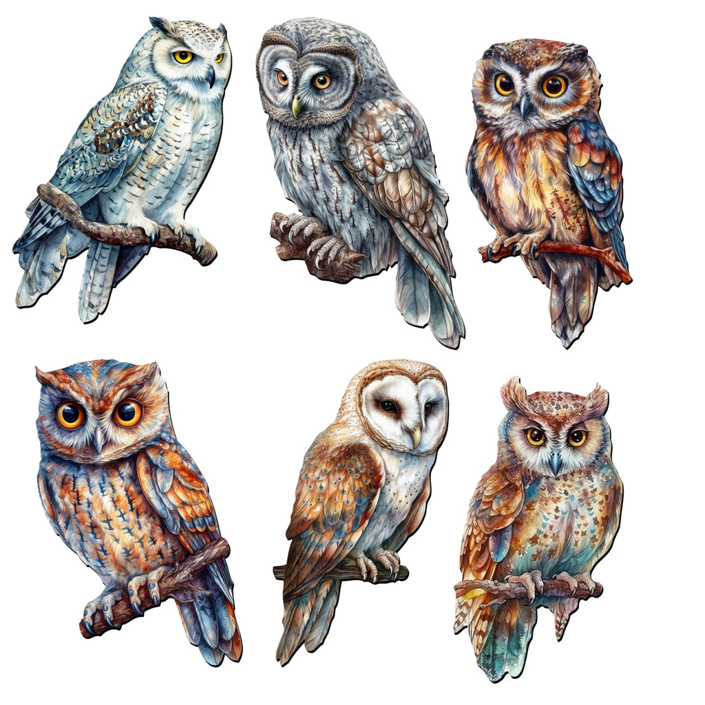 Night Owls Decorative Eco Wood Magnets Set of 6 by G. Debrekht - Wildlife Decor - 8090004G-S6