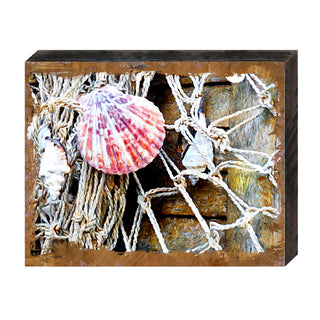 Seashell Wood Wooden Coastal Wall Art by Nature Wonders - Coastal Sea-Life Decor - 95250B