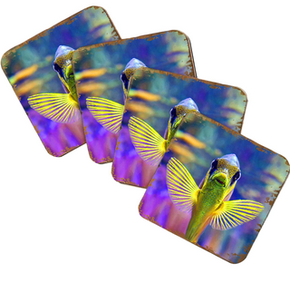 A collage of three square images featuring a colorful fish with yellow and green fins against a purple background.