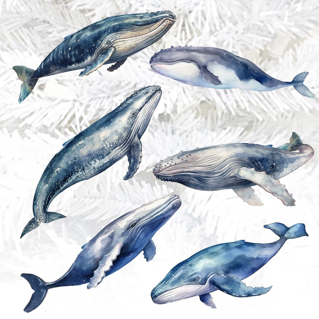 Coastal Giants Humpback Whales Clip-On Eco Wood Decorative Ornaments Set of 6 by G. Debrekht - Wildlife Decor - 8090103C-S6