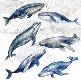 Coastal Giants Humpback Whales Clip-On Eco Wood Decorative Ornaments Set of 6 by G. Debrekht - Wildlife Decor - 8090103C-S6